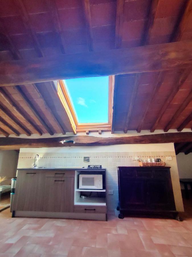 Apartment Palazzo Bianciardi Attico Castellina in Chianti