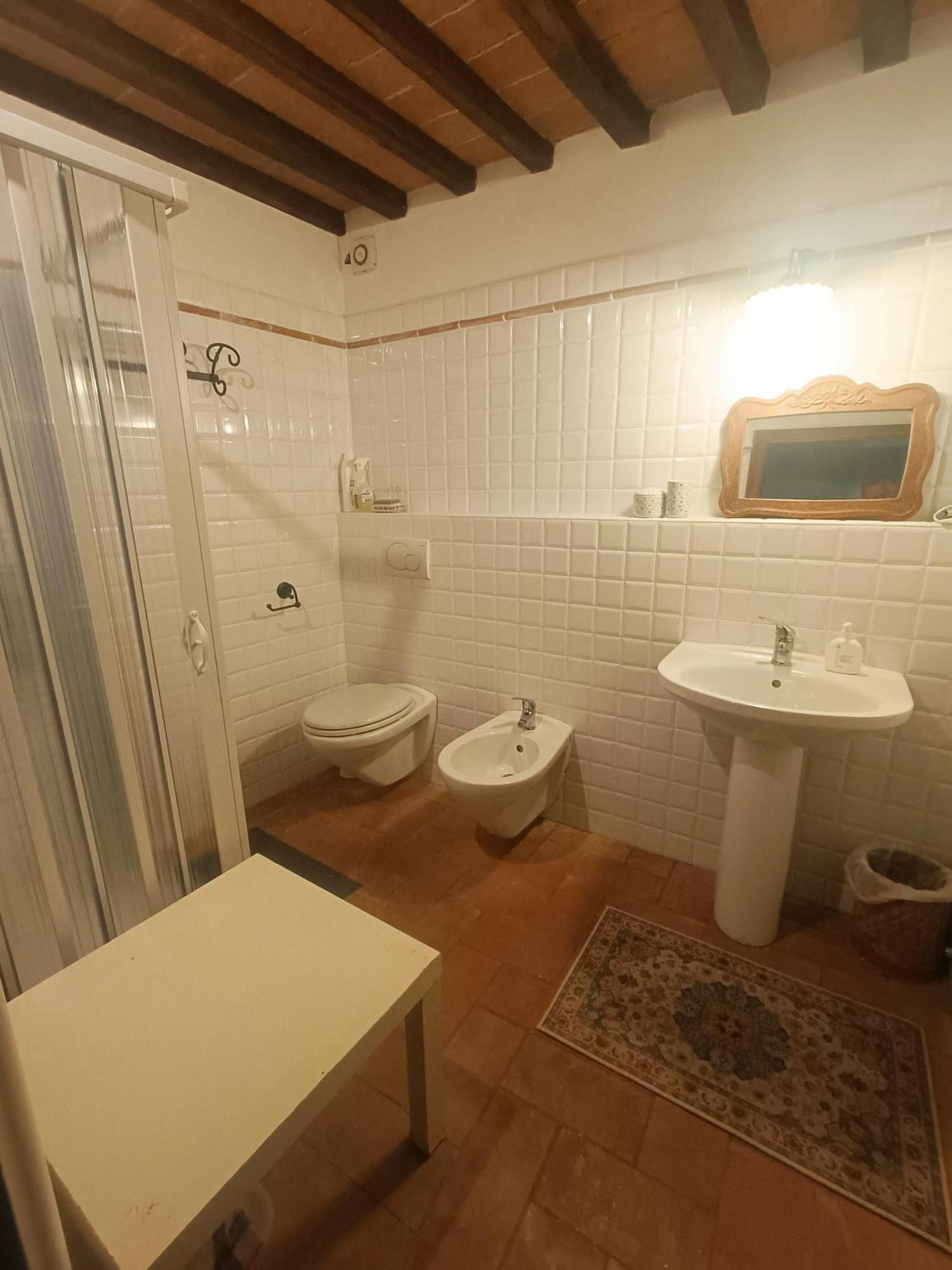 Apartment Palazzo Bianciardi Attico Castellina in Chianti